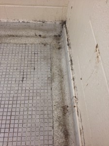2015_06_16_WT_Washroom mold dirt corner